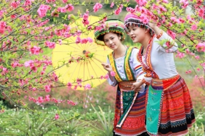 Sapa by sleeping  bus  overnight in homestay