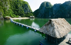 Imperior Classsic Cruises