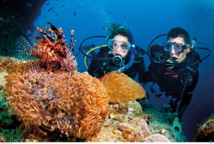 Snorkelling Cham island deluxe tour